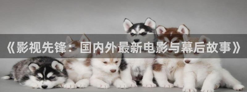 國產(chǎn)草草麻豆浮力影院